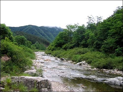 선경을 대하듯 맑고 시원한 강림천, 태종대도 돌아보고 여름 피서지로도 손색이 없을 듯하다. 